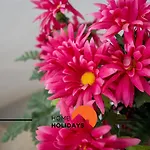 #278 Local Experience ヴィラ アルブフェイラ